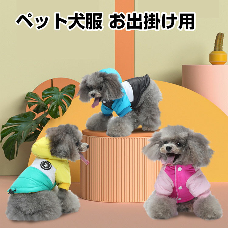  ڥåȸ ߰ ɴ Ȥ İ   襤  淿 緿 ȴк  롼० ...