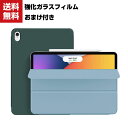 送料無料 Apple iPad Air5 10.9インチ(2022モデル) iPad Air4 10.9インチ アイパッドエアー第5世代 ケースCASE 薄型 ...