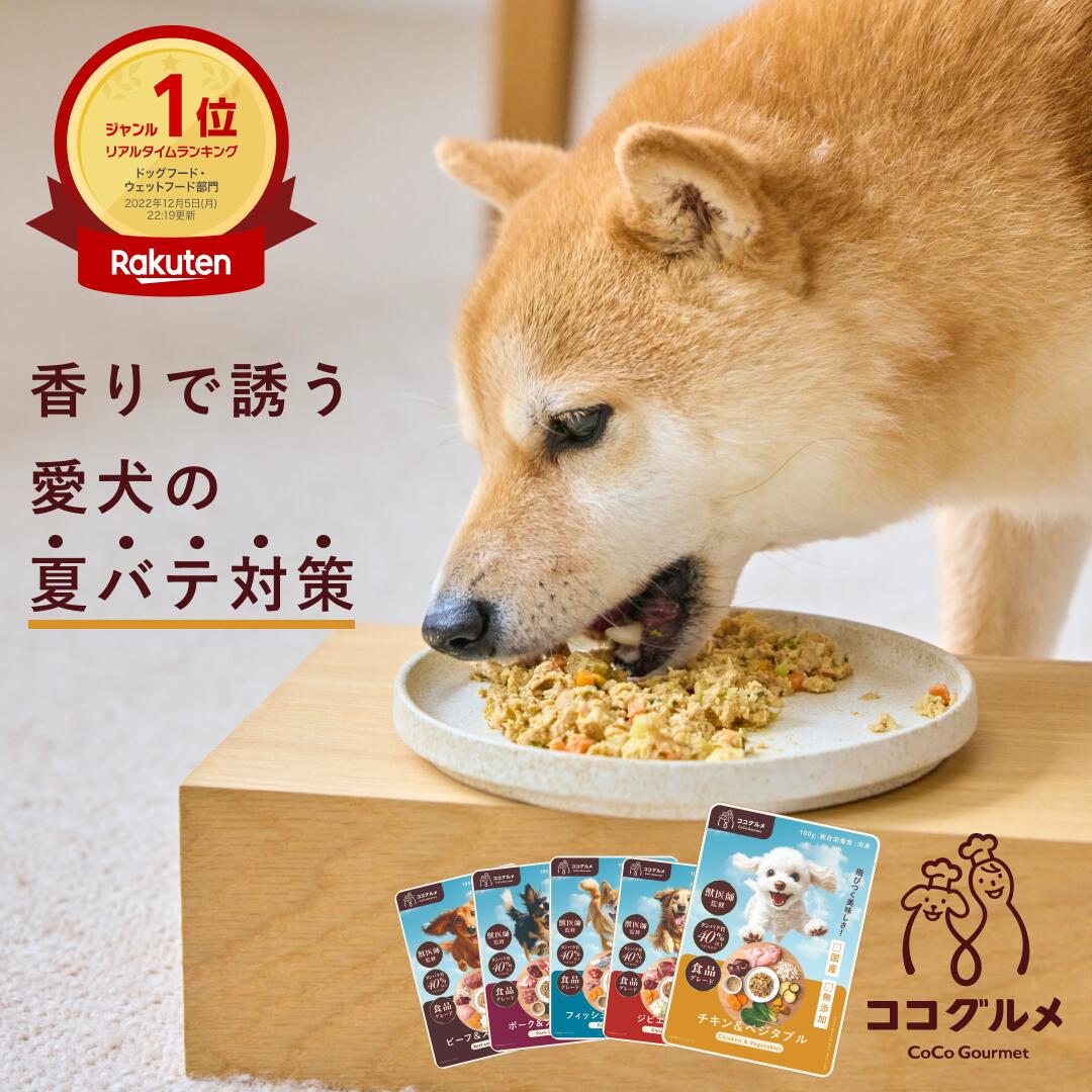 メンズ PREMIATAプレミアータ レザーシューズ ダークブラウン外羽根