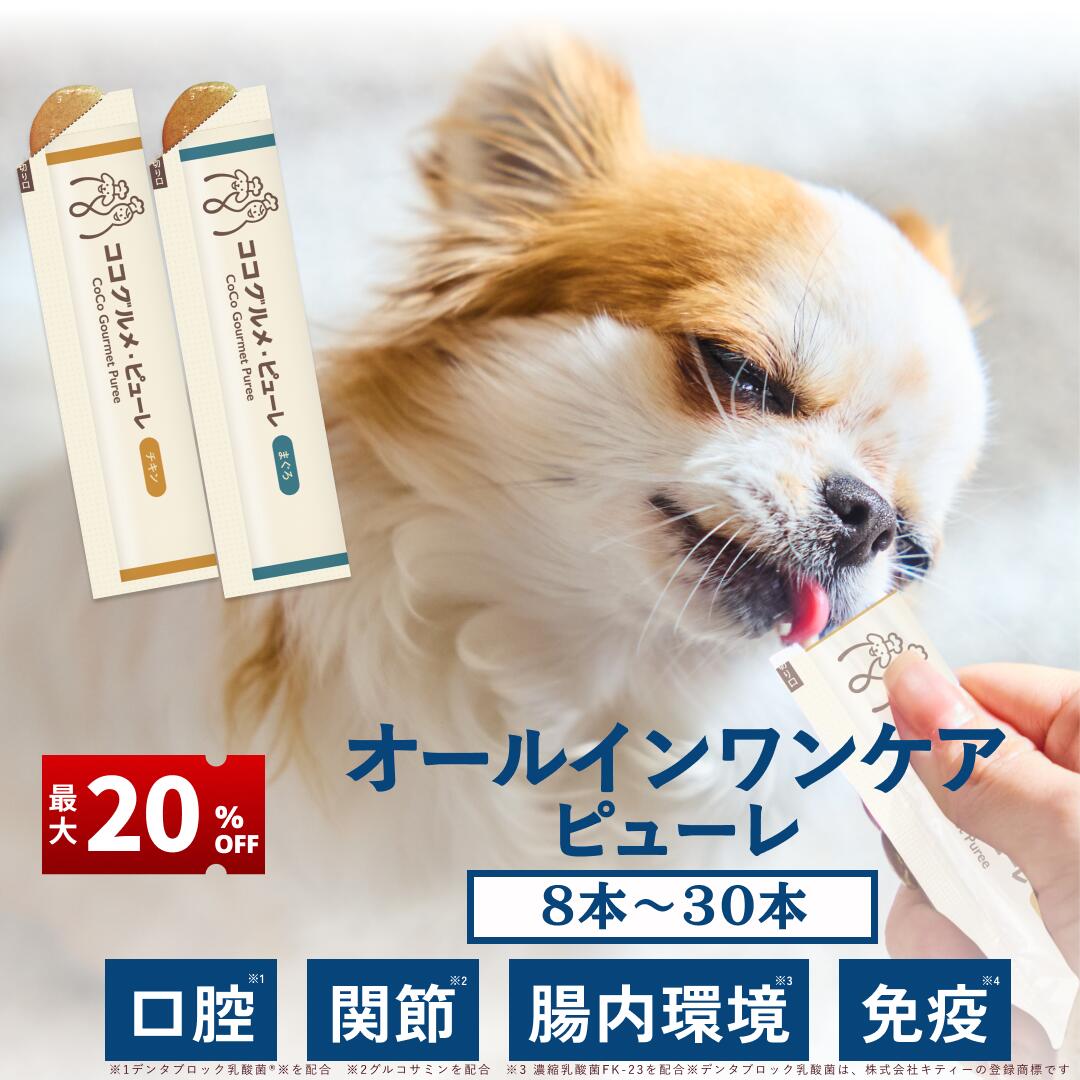 楽天市場】ココグルメの通販
