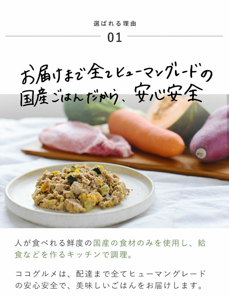 【送料無料】ココグルメ(チキン) 100g×3 手作りご飯 国産 無添加 獣医師監修 総合栄養食 シニア犬 子犬 餌 ウェットフード ウエットフード アレルギー グレインフリー 涙やけ 老犬 偏食 トッピング フレッシュフード レトルト 水分補給 夏バテ対策 鶏肉