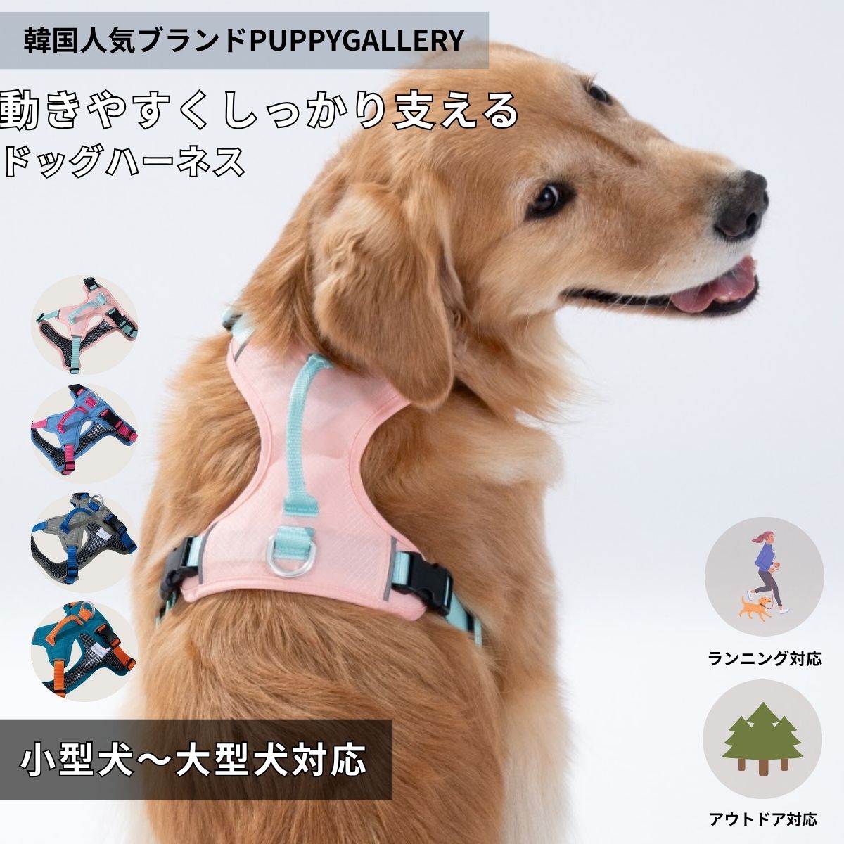 Rakuten - GO MENTUM 犬 ハーネス おしゃれ 小型犬 中型犬 大型犬 ノープル 軽量 大型犬用ハーネス 高強度 衝撃吸収 撥水 ドッグハーネス 夜間反射 メッシュ 安全設計 抜けにくい 調整可能 アウトドア 散歩 犬用ハーネス PUPPYGALLERY coco.kina 小型犬 中型犬 大型犬 パピーギャラリー