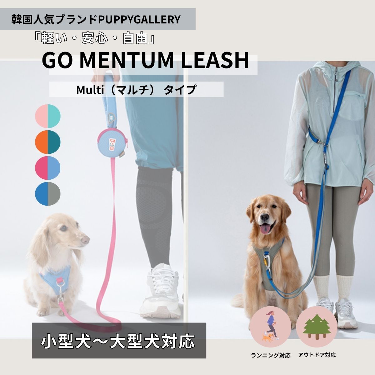 Momentum - Multi Leash