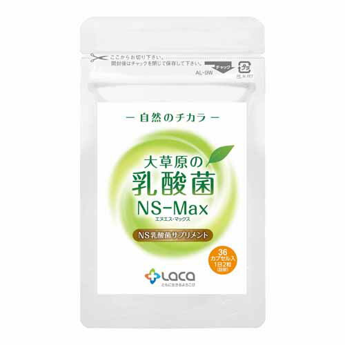 ラクア 大草原の乳酸菌NS-Max 36粒 