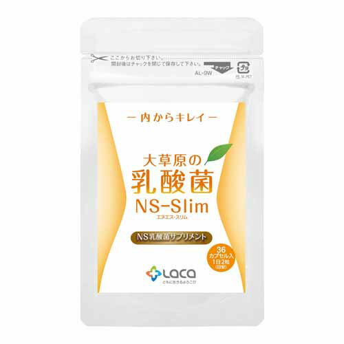 ラクア 大草原の乳酸菌NS-Slim 36粒 