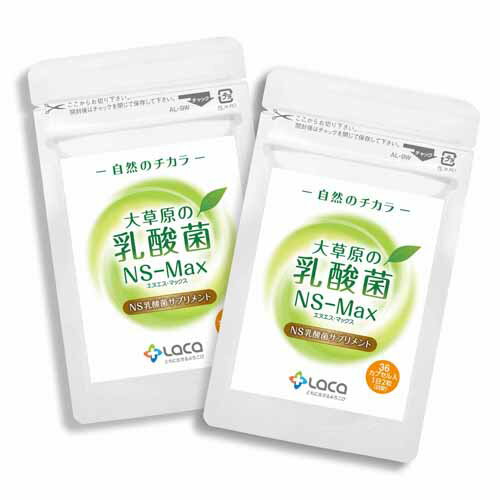 ラクア 大草原の乳酸菌NS-Max 36粒 ×2個組 