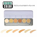 ダーマカラー プロフェッショナルカバーパレット K 20g