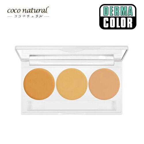 ダーマカラー パーフェクトコンシーラー パレット フェイス用 10gのサムネイル