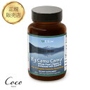 E3CamuCamu VitaminC イースリーカムカム ビタミンC 30g (60カプセル）