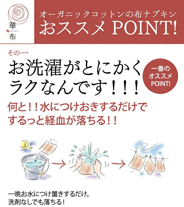華布 ホルダー付おためしセット（オーガニック） [M便 1/1] coco-natural-10007822 coco natural(ココナチュラル) サンプル画像3
