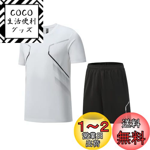 [Wisdom Leaves] 岼å  Ⱦµt 硼ȥѥ ˥󥰥 ȥ졼˥󥰥 ݡĥ ...