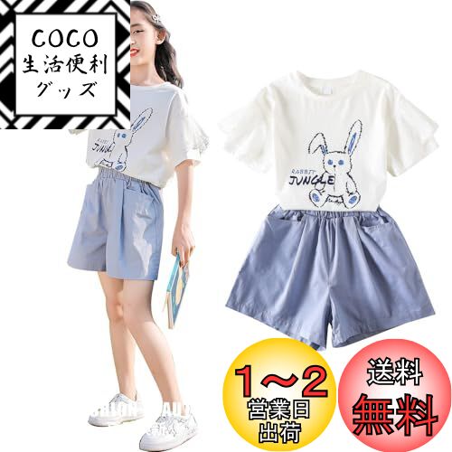 楽天COCO 生活便利グッズ[Vinemsals] 子供服 女の子 洋服 春夏 2点セット 綿 韓国風 可愛い キッズ 女の子tシャツ 半袖 ショート丈 パンツ おしゃれ 子供 女の子 夏着 セットアップ 普段着 カジュアル 通学 色：ホワイト・スカーブルーセット、サイズ：120
