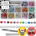 Bestgleレザークラフト 工具 両面ハトメの玉600組12色 カラフル 鳩目カシメセット 穴あけポンチ 大容量 穴5mm布地 靴 帽子 バッグ DIY レザークラフト 手芸 ハンドメイド材料 納ケース付き