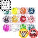 YFFSFDC クラッシュ ホログラム 12色セット ネオンフレーク 素材 手芸 レジン 封入 パーツ ネイルアート ラメフィルム