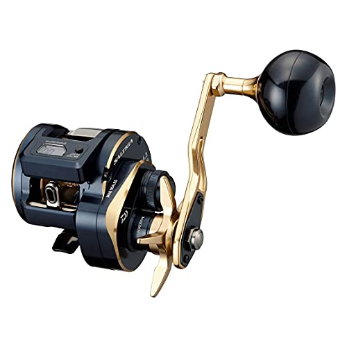 ダイワ(DAIWA) 21 ソルティガIC 300L