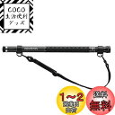 ダイワ(DAIWA) 玉の柄 ランディングポール2 400