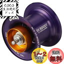 ダイワslpワークス(Daiwa Slp Works) RCSB SV BOOST 1000 G1 パープル