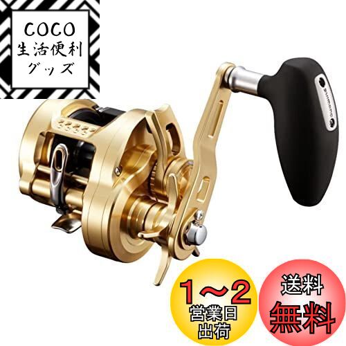 ޥ(SHIMANO) 22 󥯥 301PG