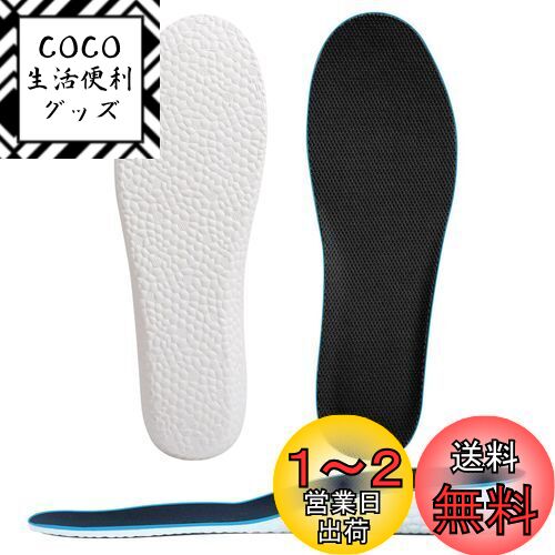 [Kozzim] å 󥽡 ߤ ׷ۼ Ĺå ٤⤵31.5cm/2.5cm/3.5cm