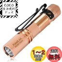 ACEBEAM Pokelit AA 懐中電灯 小型 軽量 強力 550ルーメン単三 3段階調光 高演色性 Ra90 IP68防水 最大9日の実行時間 安定したパフォーマンス かいちゅうでんとう ledライト フラッシュライト 防災 護身用 ハンディライト 日常の持ち運び、アウトドア、登山、地震災害な