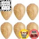 Neiang ハチの巣ガード 6個入り 蜂の巣 ダミー スズメバチの巣 ダミーハチの巣 蜂よけ グッズ 吊るす 屋外