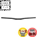 Funn(ファン) ブラックエース(Black Ace) 高強度炭素繊維自転車ハンドルバー、 クランプ径:φ31.8mm、幅785mm、ブラック、耐久性、衝撃吸...