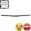 Funn(ファン) ブラックエース(Black Ace) 高強度炭素繊維自転車ハンドルバー、 クランプ径:φ31.8mm、幅785mm、ブラック、耐久性、衝撃吸...