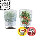 LIANHATA 防虫ネット 2個セット 植物保護カバー メッシュ巾着式 防鳥ネット 虫よけカバー 野菜網 鳥対策 通気性 虫鳥除け網 鉢植え用 野菜栽培 菜園プランター用 (80*80cm)