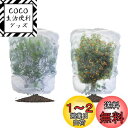 LIANHATA 防虫ネット 2個セット 植物保護カバー メッシュ巾着式 防鳥ネット 虫よけカバー 野菜網 鳥対策 通気性 虫鳥除け網 鉢植え用 野菜栽培 菜園プランター用 (80*100cm)