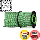 Abma Cord パラコード 2mm 1芯 耐荷重45kg 100%ナイロン 30M - カメレオン