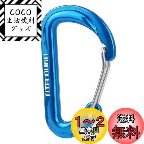 TITECOUGO カラビナ 小 多機能 リュック 小物入れ おしゃれ アルミ Dリング Dフック スナップ アウトドア キーホルダー 釣り 登山 ハイキング キャンプ 旅行 軽量 オフィス ストラップ キャンプ用品 ポーチ dカン 鍵掛け 生活雑貨 スカイブルー