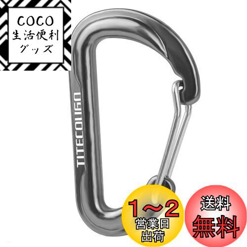 TITECOUGO カラビナ 小 多機能 リュック 小物入れ おしゃれ アルミ Dリング Dフック スナップ アウトドア キーホルダー 釣り 登山 ハイキング キャンプ 旅行 軽量 オフィス ストラップ キャンプ用品 ポーチ dカン 耐久性 鍵掛け 生活雑貨 グレー