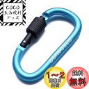 TITECOUGO アウトドア カラビナ おしゃれ 登山 小型 アルミ Dフック 頑丈 ネジロック バンジーコード ブランコ hammocks テント ?キャン...
