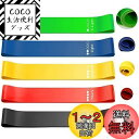roseddy トレーニングチューブ レジスタンスバンド 天然ラテックス フィットネスバンド ヨガ 5つの異なる強度エクササイズバンドドセット 自宅 筋トレ 美...