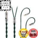 JIALAI JLY3 銀メッキ単結晶銅 リケーブル 2.5mm MMCX 2芯 イヤホンアップグレードケーブル 交換 着脱式 ヘッドフォンケーブル マイクなし HiFi DIYイヤホンのアクセサリ耳掛型 1.2m 音質改善 JIALAI (2.5mm MMCX, 緑)