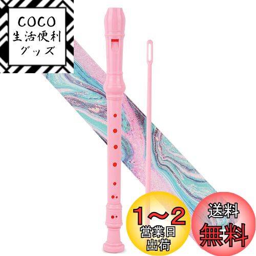 Jasenna ץΥꥳ  鿴 8CץΥ쥳 ɽǼХå(2-Pink Green...