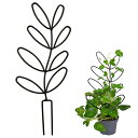 YUWENW 園芸支柱 植物支柱 1セット 花ささえ 花支え 植物サポート 観葉植物 成長サポート 植物倒れ防止 手で調整可能 再利用可能 植物固定 植物成長 ...