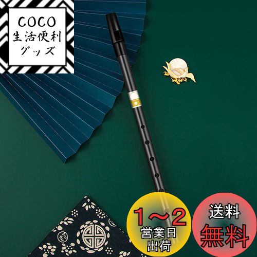Jinchuan ティンホイッスル アルミニウム製 D管 C管 教材付き 収納袋/ケース付き ゴールド シルバー (ブラック,C調)