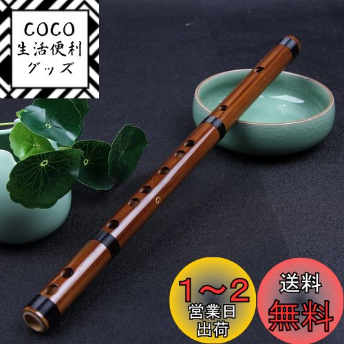 Jinchuan ե롼 ū ū ū Ȭ ûū ûū ڴɳڴ ߥ塼 Ūʼ (F Ĵ)
