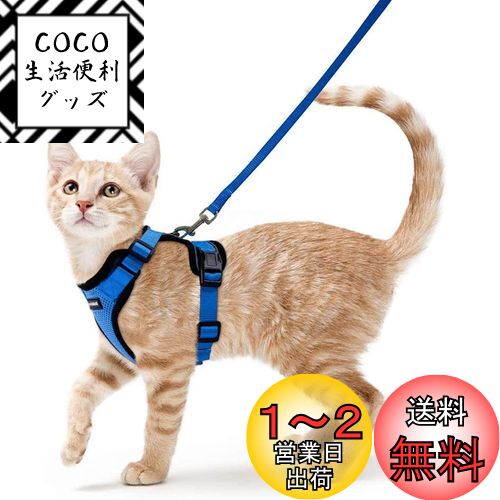 Rabbitgoo 猫 ハーネス リード セット 抜けない 猫用ハーネス ソフト軽量 犬猫兼用 超小型犬 小型犬 散歩 災害避難 はーねす りーど 足を上げず装着完成 サイズ調節可 夜反射 通気メッシュ 咳込み防止 胴輪 紐 ひも（ネイビー XSサイズ）