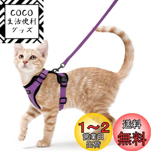 Rabbitgoo 猫 ハーネス リード セット 抜けない 猫用ハーネス ソフト軽量 犬猫兼用 超小型犬 小型犬 散歩 災害避難 はーねす りーど 足を上げず装着完成 サイズ調節可 夜反射 通気メッシュ 咳込み防止 胴輪 紐 ひも（パープル S）