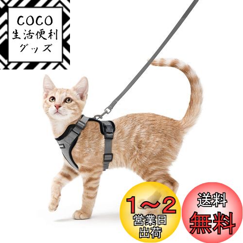 Rabbitgoo 猫 ハーネス リード セット 抜けない 猫用ハーネス ソフト軽量 犬猫兼用 超小型犬 小型犬 散歩 災害避難 はーねす りーど 足を上げず装着完成 サイズ調節可 夜反射 通気メッシュ 咳込み防止 胴輪 紐 ひも（グレー XSサイズ）