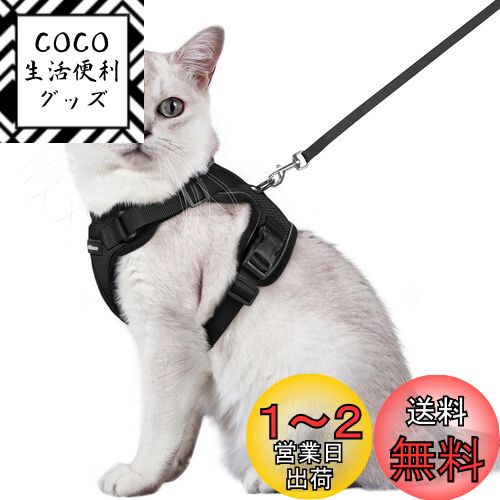 Rabbitgoo 猫 ハーネス リード セット 抜けない 猫用ハーネス ソフト軽量 犬猫兼用 超小型犬 小型犬 散歩 災害避難 はーねす りーど 足を上げず装着完成 サイズ調節可 夜反射 通気メッシュ 咳込み防止 胴輪 紐 ひも（ブラック Mサイズ）