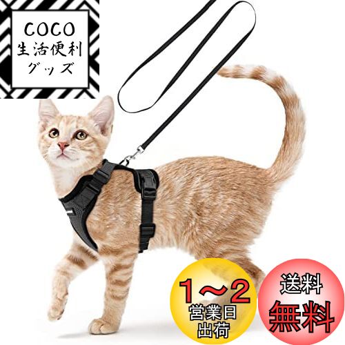 Rabbitgoo 猫 ハーネス リード セット 小型犬 犬猫兼用 抜けない はーねす ソフト胸あて 軽量 足を上げず装着完成 サイズ調節可 ネコ 散歩 紐 夜反射 通気メッシュ 咳込み防止 胴輪 ベスト りーど（黒 XXSサイズ）
