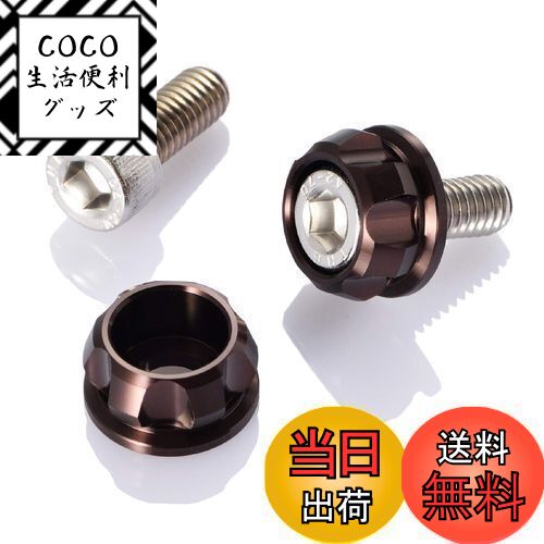 【送料無料】デイトナ(Daytona) PREMIUM ZONE(プレミアムゾーン) バイク用 ナンバープレート ボルト M6×15mm ホルダーセット 2個入り ブロンズ 91954