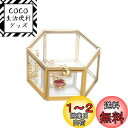 Feyarl ジュエリーボックス ジュエリー入れ リングピロー ジュエリー収納 ガラスボックス 六角形 ゴールド 7.5cm