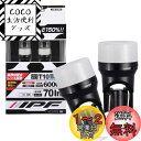 IPF ポジションランプ LED 車用 T10 70lm 6000K ホワイト 12V用 2本入 車検対応 拡散材配合レンズ採用 日本製 104W
