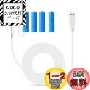 LANMU 単3形 ダミー電池 単3 ホワイト バッテリー電源 4個セット ケーブル 長さ 175cm USB-DCケーブル付き 単3形バッテリー交換 電池スペ...
