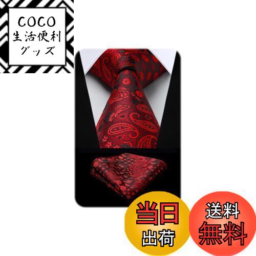 【送料無料】[HISDERN] ネクタイ ペイズリー 柄 メンズ 赤 おしゃれ フォーマル ネクタイ チーフ セット 結婚式 ビジネス ネクタイ 花柄 シルク ブランド 二次会 礼服用 高級 派手