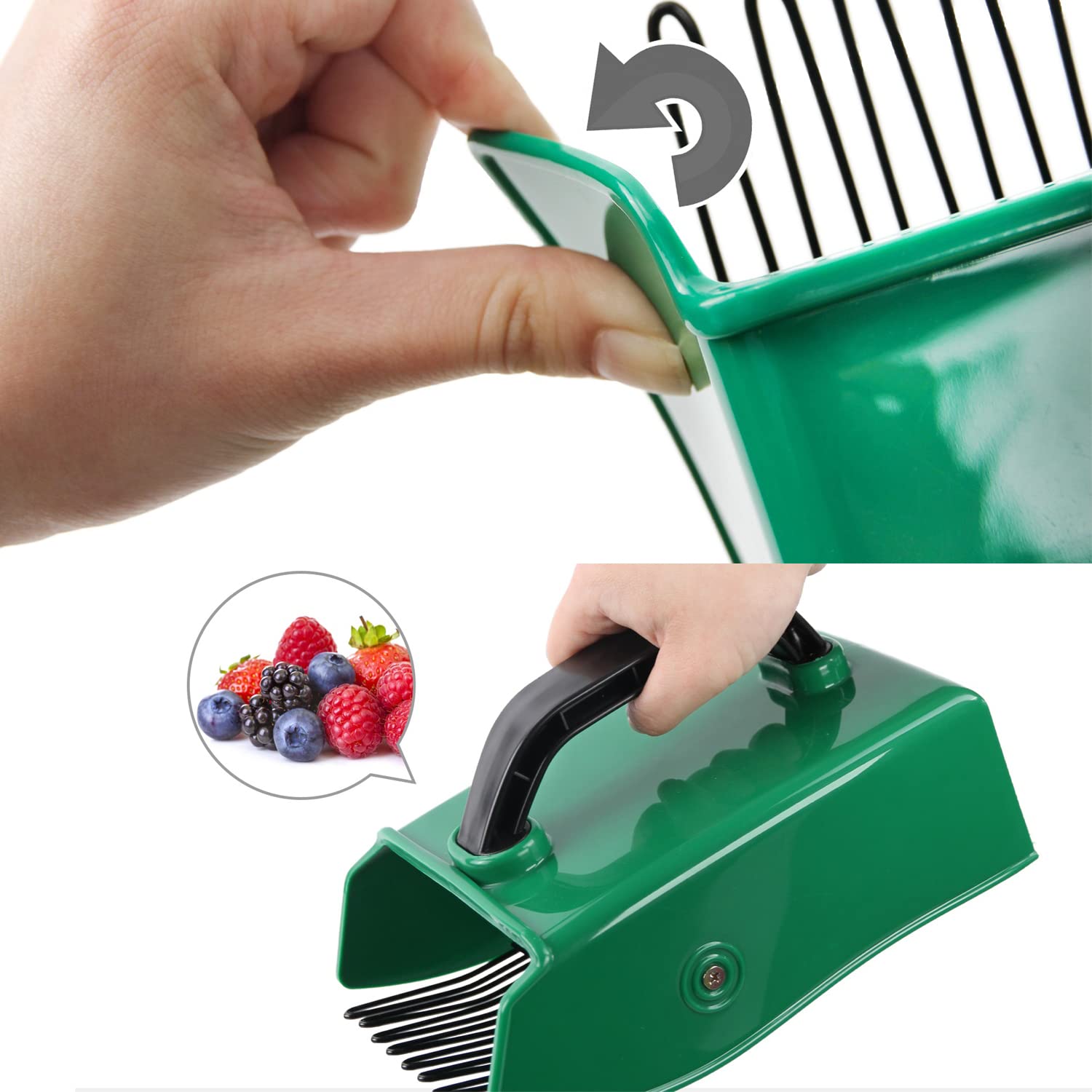 ������̵����Vivi Bakie �٥꡼�ԥå��� ��ʪ���� �ե롼�ĥԥå��� ���̷� �ץ�դ뤤 ����Ѷ� ��ʪ��� �����ǥ�ġ��� (��)